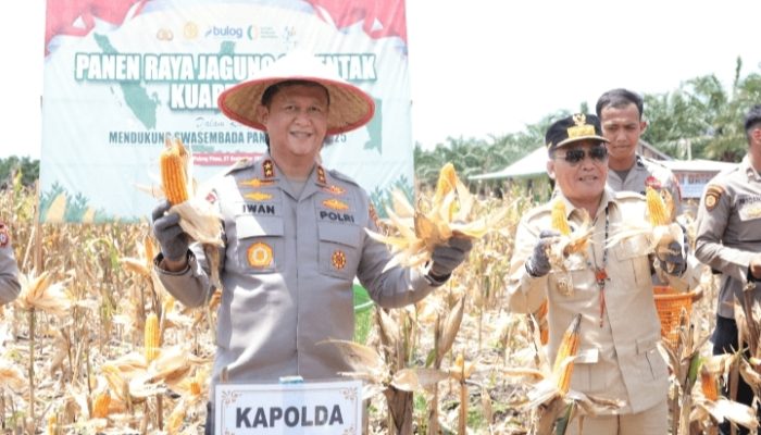 Panen Raya Jagung di Pulang Pisau, Kapolda Kalteng Dorong Ketahanan Pangan Nasional