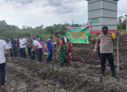 Polsek Timpah Monitoring Penanaman Jagung Program 1 Desa 1 Hektar di Desa Aruk
