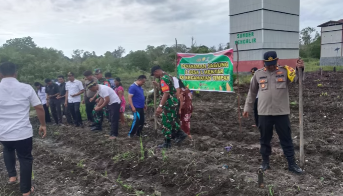 Polsek Timpah Monitoring Penanaman Jagung Program 1 Desa 1 Hektar di Desa Aruk