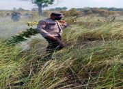 Cegah Karhutla, Polsek Kelumpang Hulu Bergerak Cepat Padamkan Titik Api di Desa Bangkalan Dayak