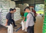 Polsek Satui Kawal Distribusi 23 Ton Jagung PT SBT ke Gudang Bulog Tanah Bumbu