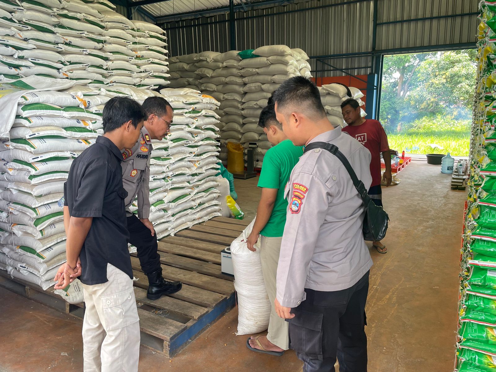 Kapolsek Satui memantau pendistribusian jagung PT SBT ke Gudang Bulog Tanah Bumbu.