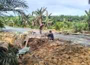 Satgas TMMD ke-126 Kodim 1022/Tanah Bumbu Percepat Pengecoran Gorong-Gorong di Desa Rejosari