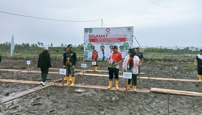 Semangat Sumpah Pemuda, Bupati Sukamara Ajak Generasi Muda Peduli Lingkungan Lewat Penanaman Mangrove