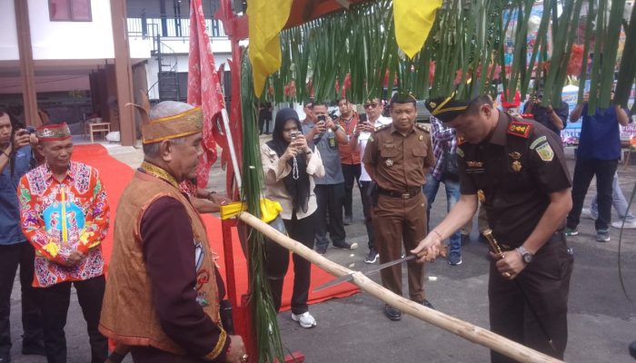 Tradisi Potong Pantan Sambut Kedatangan Kepala Kejari Kapuas Rade SP Nainggolan