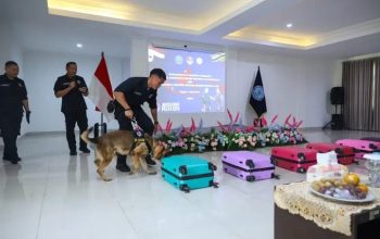 Atraksi K-9 oleh delegasi NCB Brunei Darussalam di Markas Unit Deteksi K-9 BNN Lido, Bogor.
