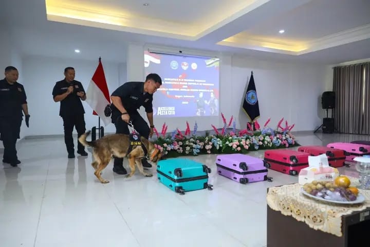 Atraksi K-9 oleh delegasi NCB Brunei Darussalam di Markas Unit Deteksi K-9 BNN Lido, Bogor.