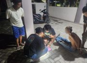 Polres Balangan Ringkus Pengedar Sabu di Lampihong, 8 Paket Diamankan