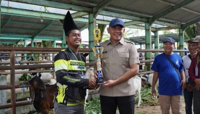 Pasar Hewan Pelaihari Bangkit, Kontes Kambing Kalsel Jadi Pemacu Ekonomi Peternak