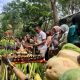 Masyarakat Kotabaru berebut hasil bumi dalam tradisi Grebek Kampung pada penutupan MP2AF 2025 di Wisata Hutan Meranti.