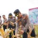 Wakapolres Kotabaru memimpin panen jagung di Pulau Laut Timur didampingi perangkat desa dan tokoh masyarakat.