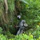 Mobil pikap terjun ke jurang setelah mengalami kecelakaan tunggal di Jalan Raya Bendo–Maospati, Magetan, Jawa Timur