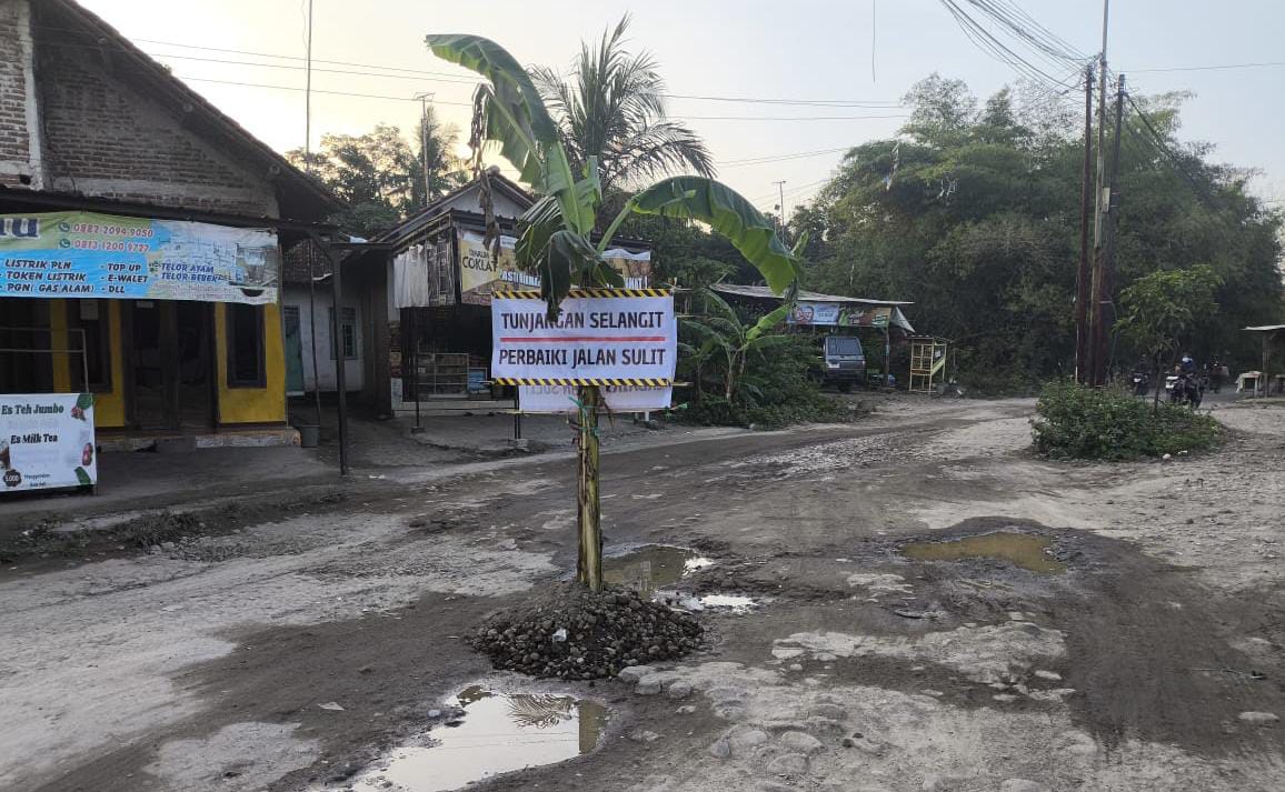 Warga Kalilunyu Cirebon tanam pohon pisang di jalan berlubang sebagai protes jalan rusak