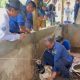 Petugas Damkar Kabupaten Majalengka mengevakuasi buaya rawa berukuran dua meter dari kolam milik warga Desa Kulur