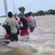 Warga berjalan di sawah yang tergenang banjir setelah luapan sungai merendam area pertanian.