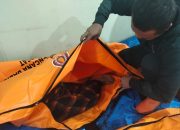 Longsor di Bandung Barat, Delapan Orang Ditemukan Meninggal Dunia