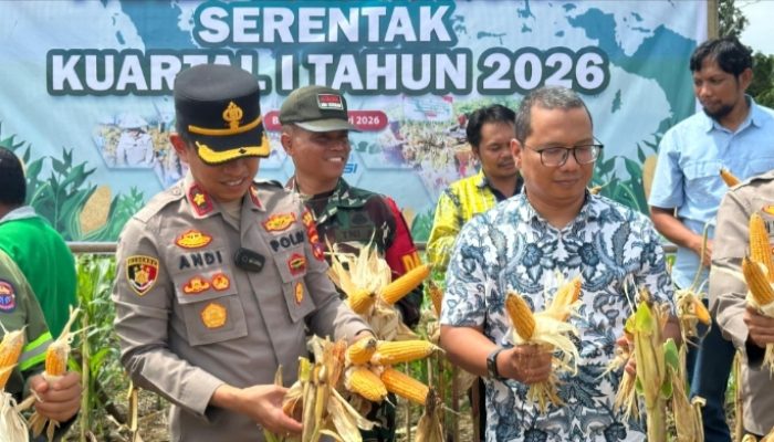 Panen Raya Jagung di Desa Semisir Dihadiri Wakapolres Kotabaru