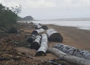 Puluhan Kayu Terdampar di Pantai Takisung, Diduga Jatuh dari Tongkang