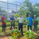 Petugas dan warga binaan Lapas Batulicin memanen kangkung sebagai bagian dari program pembinaan kemandirian dan ketahanan pangan.