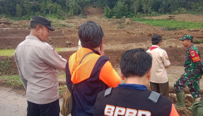 Tebing 75 Meter Longsor di Argapura Majalengka, Rumah dan Sawah Terdampak
