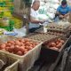 Lapak pedagang beras dan telur di Pasar Teluk Dalam Banjarmasin dengan aktivitas jual beli yang belum ramai jelang Ramadan.