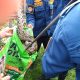 Petugas Damkar Palangka Raya mengevakuasi ular piton 4 meter dari kandang ayam warga di Jalan G Obos IX setelah memangsa dua ekor ayam.