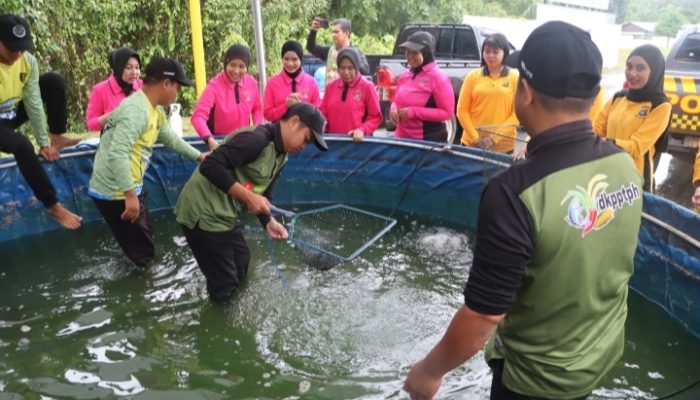 Polres Tabalong Panen Ikan dan Sayur dari Bioflok-Green House untuk Dukung Program Makan Bergizi Gratis