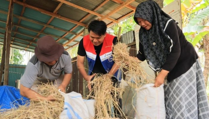 Dari Limbah Jadi Cuan, Program SI CADIAK Pertamina Sulap Jerami Jadi Energi dan Sumber Penghasilan Warga