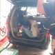 Terduga pelaku pembunuhan modus COD di Sumedang diamankan polisi dan berada di bagian belakang mobil saat proses penangkapan.