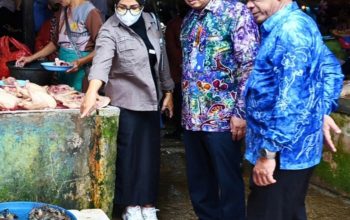 TPID Tanah Laut dan Bapanas mengecek harga bahan pokok di Pasar Tapandang Pelaihari.