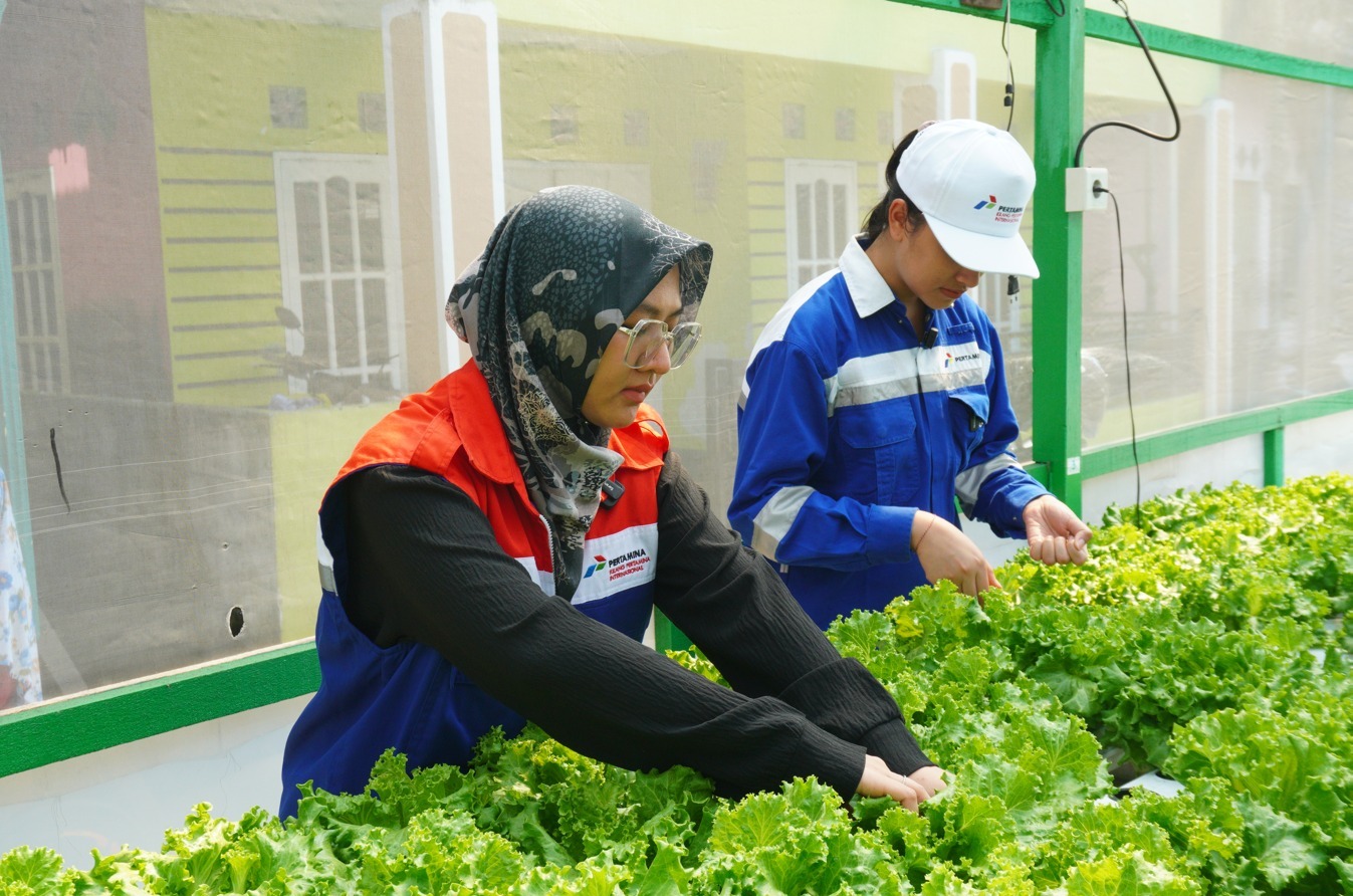 Kelompok perempuan mengikuti program pemberdayaan Pertamina Patra Niaga melalui urban farming hidroponik untuk meningkatkan ekonomi keluarga.