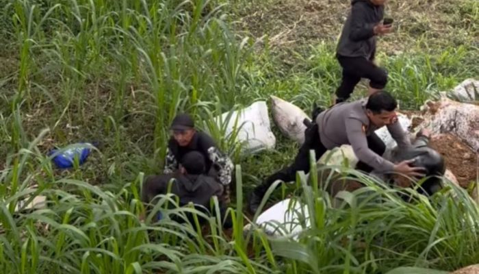 Motor Rombongan Keluarga Diduga Rem Blong, Kecelakaan di Pacet Mojokerto