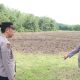 Kapolres HSU meninjau lahan jagung di Desa Tayur Amuntai Utara.