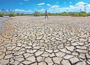 Ilustrasi musim kemarau dengan kondisi lahan kering akibat kekurangan air.