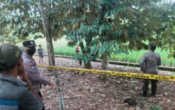 Petugas polisi melakukan olah TKP di lokasi penemuan pria meninggal di area persawahan Desa Garagata, Tabalong.