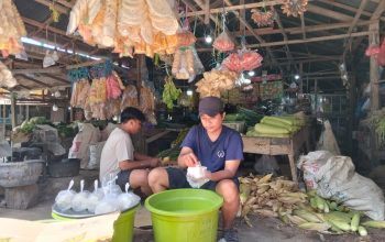 Pedagang berjualan di Pasar Subuh Simpang Empat Tanah Bumbu saat harga cabai turun menjadi Rp100 ribu per kilogram.