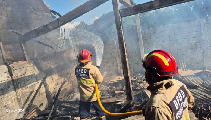 Bekas Kandang Puyuh di Sleman Ludes Terbakar, Kerugian Rp20 Juta