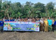Dukung Swasembada Pangan 2026, Petani Tabalong Tanam Jagung Serentak di Muara Harus