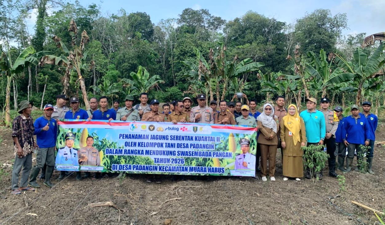penanaman jagung serentak tabalong desa padangin swasembada pangan 2026 bersama petani dan aparat