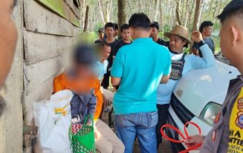 Seorang pria diamankan warga dan polisi setelah diduga mencuri cabai di kebun wilayah Haruai, Tabalong.