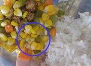 Temuan diduga kawat pada makanan program MBG di Malang yang dilingkari sebagai bukti benda asing dalam menu balita