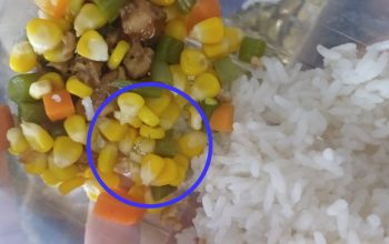 Temuan diduga kawat pada makanan program MBG di Malang yang dilingkari sebagai bukti benda asing dalam menu balita