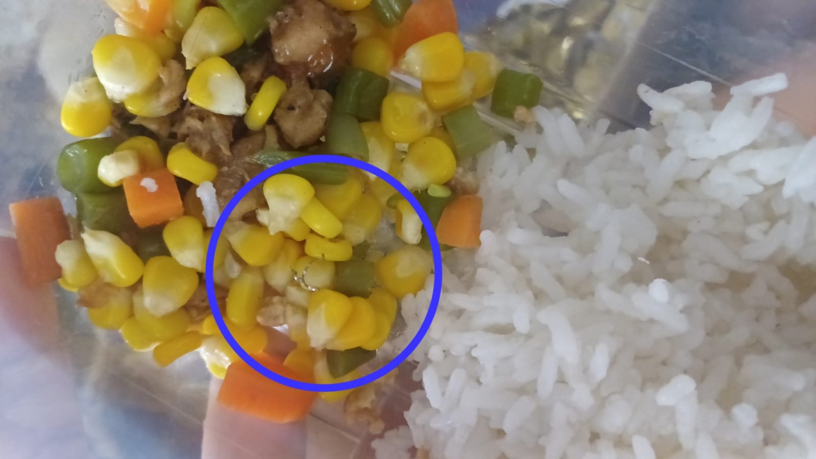 Temuan diduga kawat pada makanan program MBG di Malang yang dilingkari sebagai bukti benda asing dalam menu balita