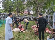 Bupati dan Ketua TP PKK Balangan Sembelih Kurban di Rumah, Ribuan Warga Hadir