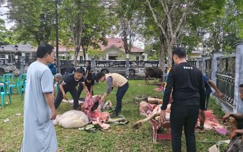 Panitia kurban memotong dan mengemas daging untuk dibagikan kepada warga.