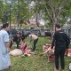 Bupati dan Ketua TP PKK Balangan Sembelih Kurban di Rumah, Ribuan Warga Hadir