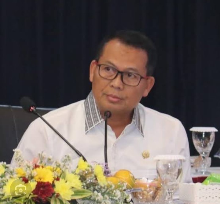 H. Endang Agustina anggota Komisi III DPR RI saat berbicara dalam forum terkait tambang ilegal.
