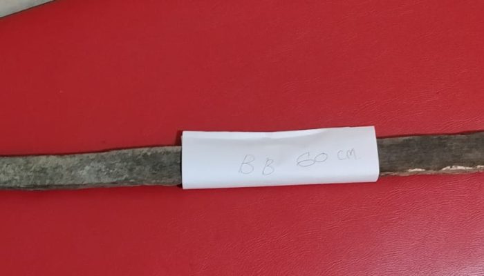 Dipukul Kayu Ulin Tanpa Alasan, Lansia di Tabalong Alami Patah Tangan