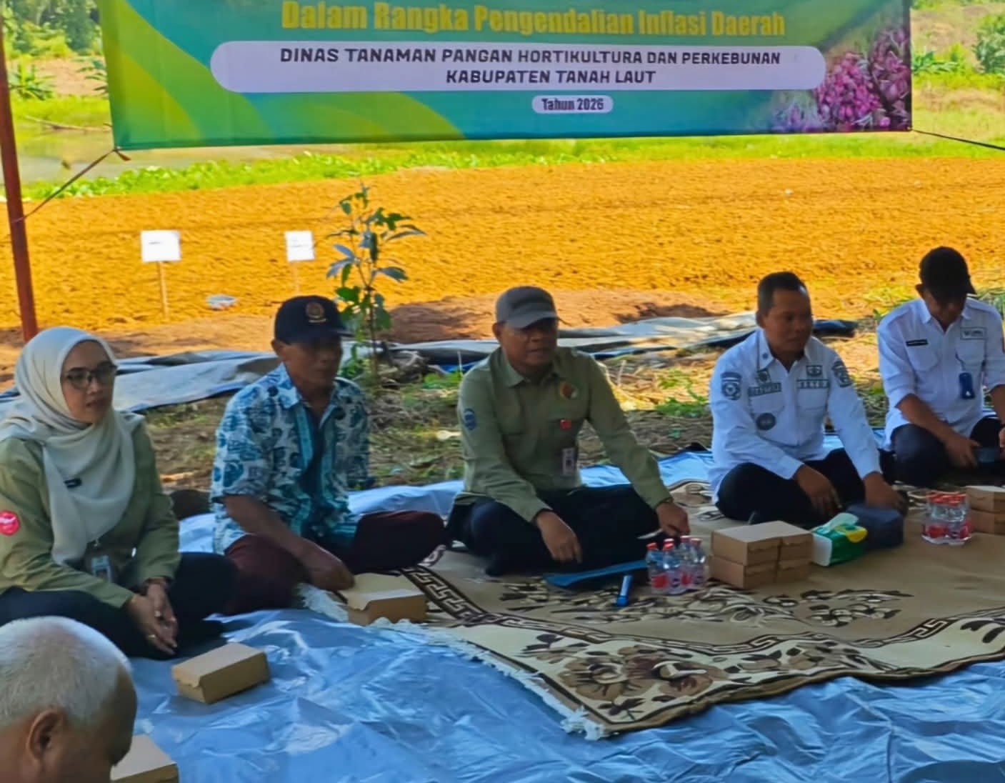 budidaya bawang merah