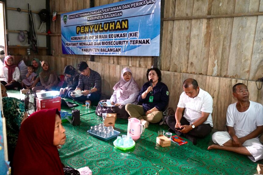Petugas DKP3 Balangan memberikan penyuluhan penyakit menular dan biosecurity ternak kepada kelompok peternak di Desa Nungka, Kecamatan Awayan.
